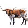 https://www.americanbreeder.com/images/com_adsmanager/categories/5220cat_t.jpg