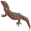 https://www.americanbreeder.com/images/com_adsmanager/categories/522cat_t.jpg