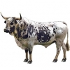 https://www.americanbreeder.com/images/com_adsmanager/categories/5246cat_t.jpg