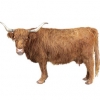 https://www.americanbreeder.com/images/com_adsmanager/categories/5254cat_t.jpg
