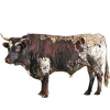 https://www.americanbreeder.com/images/com_adsmanager/categories/5262cat_t.jpg