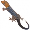 https://www.americanbreeder.com/images/com_adsmanager/categories/526cat_t.jpg