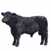 https://www.americanbreeder.com/images/com_adsmanager/categories/5275cat_t.jpg