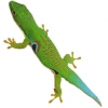 https://www.americanbreeder.com/images/com_adsmanager/categories/527cat_t.jpg