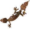 https://www.americanbreeder.com/images/com_adsmanager/categories/528cat_t.jpg