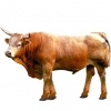 https://www.americanbreeder.com/images/com_adsmanager/categories/5294cat_t.jpg