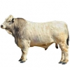 https://www.americanbreeder.com/images/com_adsmanager/categories/5295cat_t.jpg