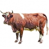 https://www.americanbreeder.com/images/com_adsmanager/categories/5310cat_t.jpg
