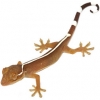 https://www.americanbreeder.com/images/com_adsmanager/categories/531cat_t.jpg