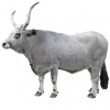 https://www.americanbreeder.com/images/com_adsmanager/categories/5360cat_t.jpg