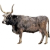 https://www.americanbreeder.com/images/com_adsmanager/categories/5363cat_t.jpg