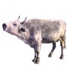 https://www.americanbreeder.com/images/com_adsmanager/categories/5370cat_t.jpg