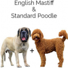 https://www.americanbreeder.com/images/com_adsmanager/categories/5380cat_t.jpg
