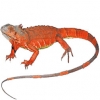 https://www.americanbreeder.com/images/com_adsmanager/categories/538cat_t.jpg
