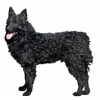 https://www.americanbreeder.com/images/com_adsmanager/categories/5405cat_t.jpg