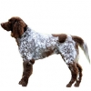 https://www.americanbreeder.com/images/com_adsmanager/categories/5414cat_t.jpg