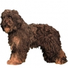 https://www.americanbreeder.com/images/com_adsmanager/categories/5434cat_t.jpg