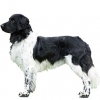 https://www.americanbreeder.com/images/com_adsmanager/categories/5448cat_t.jpg