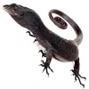 https://www.americanbreeder.com/images/com_adsmanager/categories/545cat_t.jpg