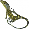 https://www.americanbreeder.com/images/com_adsmanager/categories/548cat_t.jpg