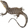 https://www.americanbreeder.com/images/com_adsmanager/categories/556cat_t.jpg