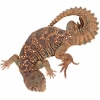 https://www.americanbreeder.com/images/com_adsmanager/categories/572cat_t.jpg