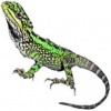 https://www.americanbreeder.com/images/com_adsmanager/categories/581cat_t.jpg