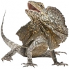 https://www.americanbreeder.com/images/com_adsmanager/categories/582cat_t.jpg