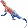 https://www.americanbreeder.com/images/com_adsmanager/categories/584cat_t.jpg