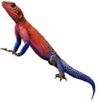 https://www.americanbreeder.com/images/com_adsmanager/categories/587cat_t.jpg