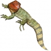 https://www.americanbreeder.com/images/com_adsmanager/categories/596cat_t.jpg