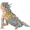 https://www.americanbreeder.com/images/com_adsmanager/categories/599cat_t.jpg