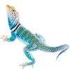 https://www.americanbreeder.com/images/com_adsmanager/categories/601cat_t.jpg