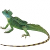 https://www.americanbreeder.com/images/com_adsmanager/categories/611cat_t.jpg
