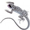 https://www.americanbreeder.com/images/com_adsmanager/categories/613cat_t.jpg