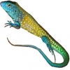 https://www.americanbreeder.com/images/com_adsmanager/categories/616cat_t.jpg