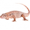 https://www.americanbreeder.com/images/com_adsmanager/categories/617cat_t.jpg