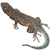 https://www.americanbreeder.com/images/com_adsmanager/categories/619cat_t.jpg