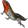 https://www.americanbreeder.com/images/com_adsmanager/categories/622cat_t.jpg