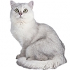 https://www.americanbreeder.com/images/com_adsmanager/categories/635cat_t.jpg