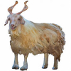 https://www.americanbreeder.com/images/com_adsmanager/categories/6559cat_t.jpg