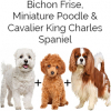 https://www.americanbreeder.com/images/com_adsmanager/categories/6644cat_t.jpg