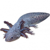 https://www.americanbreeder.com/images/com_adsmanager/categories/6724cat_t.jpg