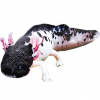 https://www.americanbreeder.com/images/com_adsmanager/categories/6727cat_t.jpg