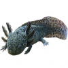 https://www.americanbreeder.com/images/com_adsmanager/categories/6730cat_t.jpg