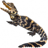 https://www.americanbreeder.com/images/com_adsmanager/categories/6741cat_t.jpg