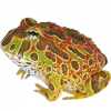 https://www.americanbreeder.com/images/com_adsmanager/categories/6757cat_t.jpg