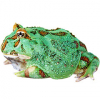 https://www.americanbreeder.com/images/com_adsmanager/categories/6761cat_t.jpg
