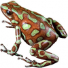 https://www.americanbreeder.com/images/com_adsmanager/categories/6766cat_t.jpg