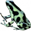 https://www.americanbreeder.com/images/com_adsmanager/categories/6769cat_t.jpg